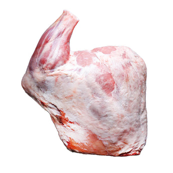 Lamb Shoulder Joint