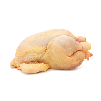 Corn fed chicken